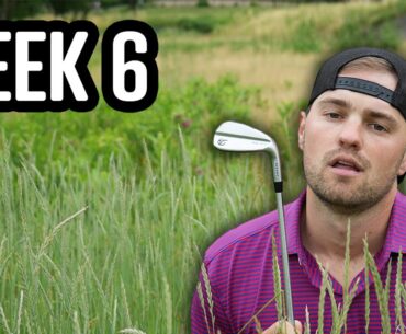 Playing Golf EVERY WEEK Until I Break Par - Week 6