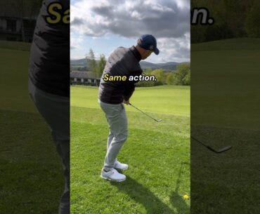 🛑STOP the duff chip shots in golf #shorts