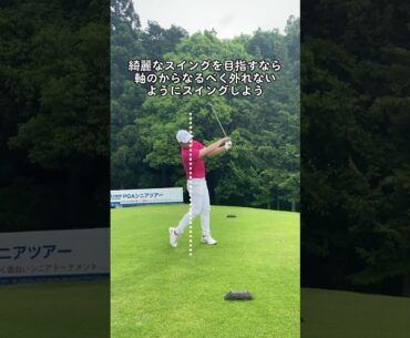 軸を中心としたドライバースイング前方と後方スロー再生あり