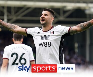 Alexander Mitrovic says he will never play for Fulham again after club valuation