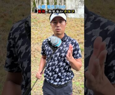 【小鯛竜也】プロがバッグから絶対に外せない１本　#shorts #short