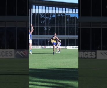 Will Schofield Vs WAFL fans. Onya fossil #backchat #afl #westcoasteagles #willschofield #podcast