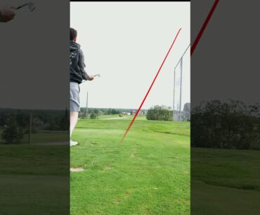 Craziest Eagle Of My Life