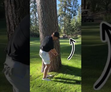 How to Chip Around a Tree! 🌲😡😤