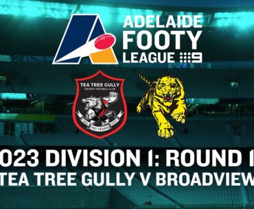 2023 Adelaide Footy League D1 Round 14: Tea Tree Gully v Broadview