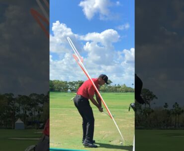 Tiger Woods golf swing in slow motion on Shot Tracer app