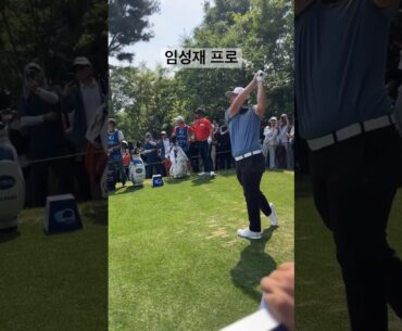 임성재 프로 직관 우드 티샷 루틴 🏌️‍♂️👀💯 #golf #골프 #골프스윙 #golfswing