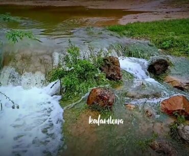 Vaagu Vanka Ponge Vaana song |#chandramukhi