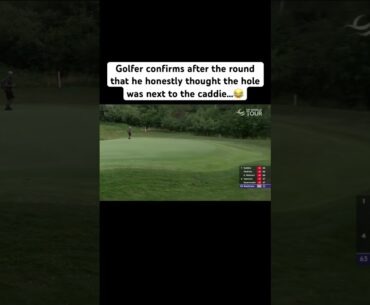 Oops! Chipping Mishap: When Golfers and Caddies Get Their Signals Crossed #golf #golfswing #shorts