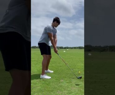 Swing Transformation