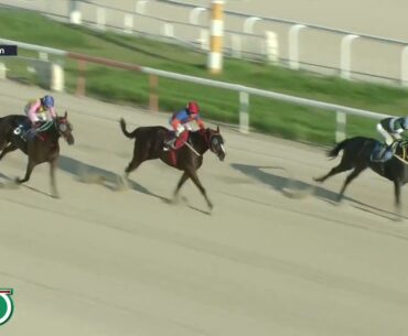(Busan) 2023.07.30 R13 Class 4 (1600M) Handicap