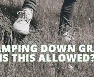 Stamping Down Grass: Is This ALLOWED? - Golf Rules Explained