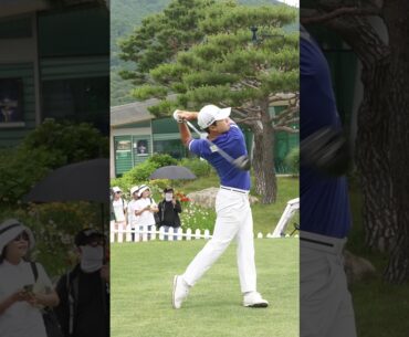 [제66회 KPGA 선수권대회 with A-ONE CC] 1라운드 김동민 티샷