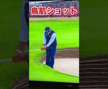 松山英樹トリハダショット#全英オープン #golf #golfer