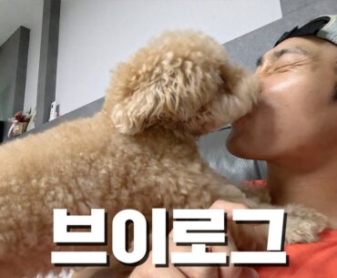 3개월만에 집으로