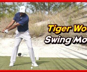 2023 "Tiger Woods" Solid Driver-Iron Swings & Slow Motions