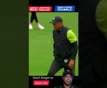 Tiger Woods Chipping ⛳🏌Wow #shorts #sports