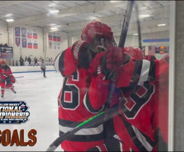 2023 AAU College Hockey National Championship: Top Goals