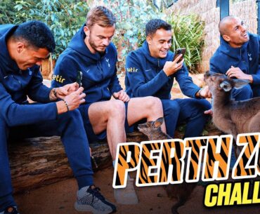 TOTTENHAM HOTSPUR PLAYERS ARE ZOOKEEPERS FOR A DAY IN AUSTRALIA!