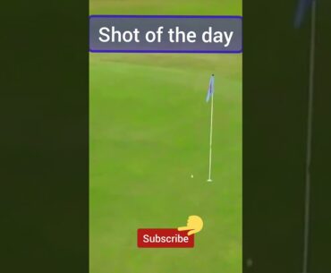 Shot of the day |what a back spin #sports #shorts