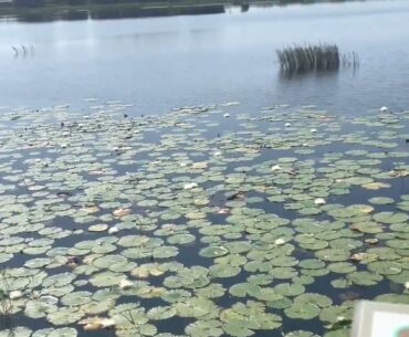 Gorgeous homes near The Belle Glade Golf Course in The Villages FL