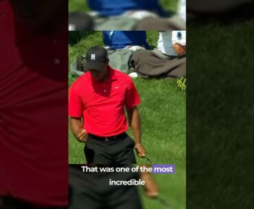 Tiger Woods Greatest Flop Shot #golf #golfshorts #golfshorts  #pga