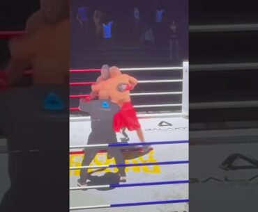 Roy Jones TKO NDO in strange Metaverse Fight