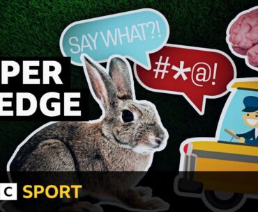 The most epic Ashes sledges - from bunnies to bus drivers  | BBC Sport