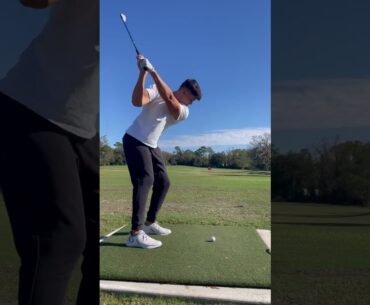 Wedge Swing DTL