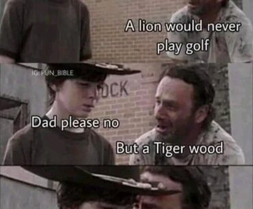 A Tiger Wood