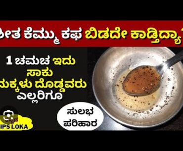 ಶೀತ ಕೆಮ್ಮು ಕಫ ಚಿಂತೆ ಬಿಡಿ ಇದೊಂದೇ ಸ್ಪೂನ್ ಸಾಕು |#healthtips