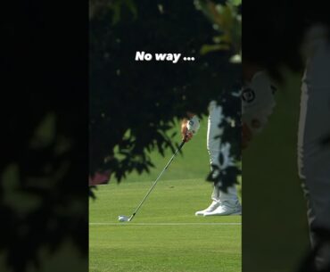 He did WHAT from WHERE? 🤯