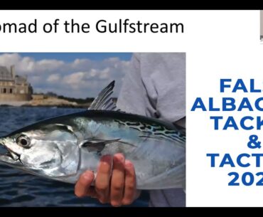 False Albacore Tackle and Tactics 2023 - Learn to catch more albies!