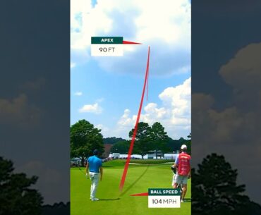 SCHENK ON FIRE🔥🔥