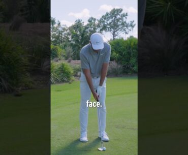 Tiger Woods And Scottie Scheffler's Cut Spin With Hook Feel Chip | TaylorMade Golf