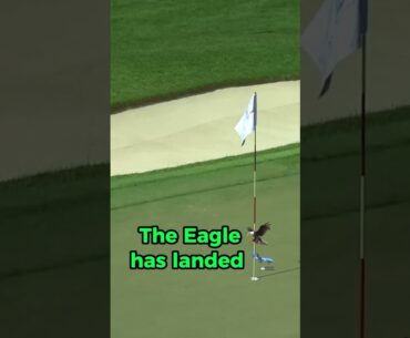 The Eagle 🦅 Has Landed: Sungjae Im's One-Hop Bunker Magic! #golfhighlights #golfmoments #shorts