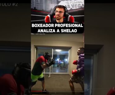 PODRÁ SHELAO GANAR A VIRUZZ...?