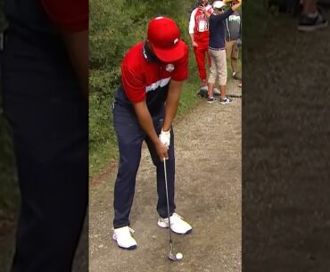 Xander Schauffele's MIRACULOUS save from a path! 🤯