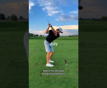 One Year Swing Transformation #shorts
