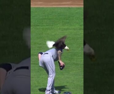 FLY LIKE AN EAGLE! James Paxton has bald eagle LAND ON HIM! 🤣🤣