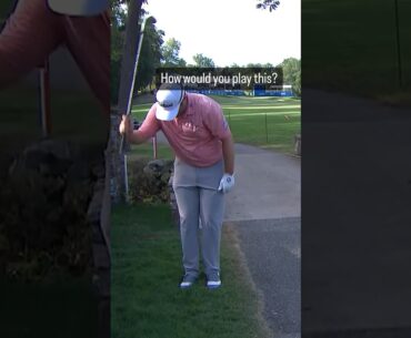Would you have tried this shot? 😳