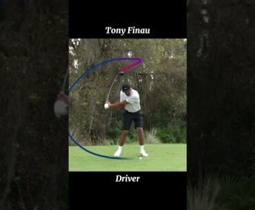 토니 피나우 드라이버 스윙 슬로우