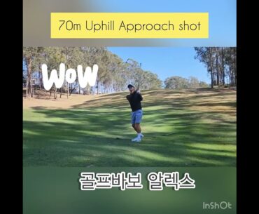 골프바보 알렉스 70m Approach shot