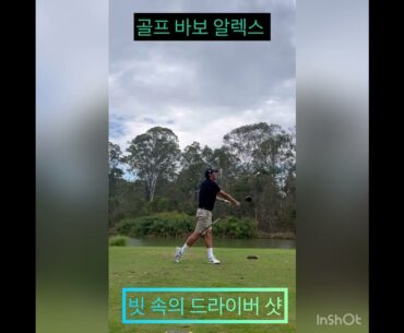 골프바보 알렉스 빗속의 드라이버 샷