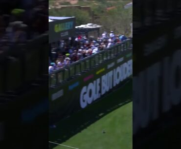 Bubba Watson long range shot! #golf