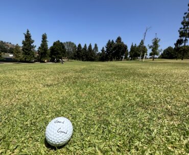 18th approach, came across this little guy middle of the fairway.