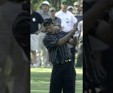 Tiger vs. Rock, '99 TOUR Championship