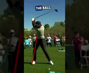 Sahith Theegala Swing Analysis