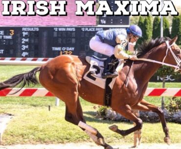 Irish Maxima Romps at Pimlico