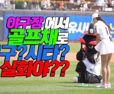 저 시구하고 왔어요 ㅋㅋㅋ시타? 인가 ㅋㅋ